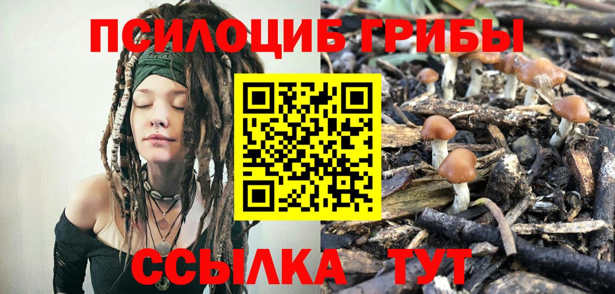 Новороссийск  купить закладку  Вход с VPN  Галлюциногенные грибы GOLDEN TEACHER 